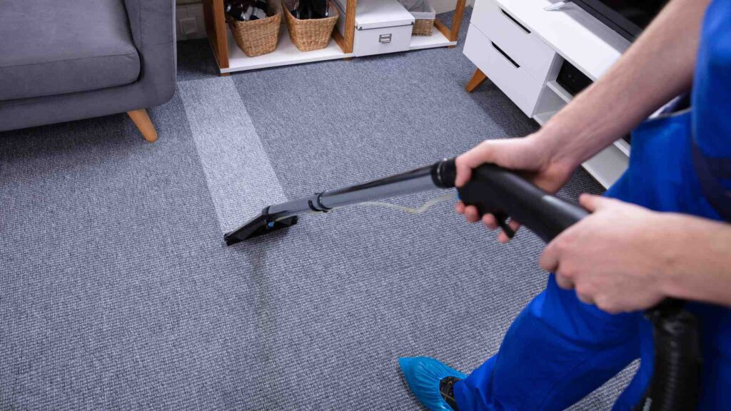 Teppich- und Polsterreinigung in Kassel und Umgebung
